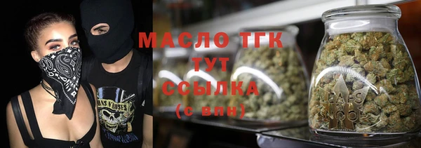 дмт Заводоуковск